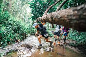 BIB: 
                            <button type="button" onclick="openModal(25375505)" class="btn btn-primary btn-sm float-right btn-popup" data-toggle="modal" data-target=".modal-high-quality">
                        <i class="fas fa-shopping-cart"></i> Add to Cart
                    </button>
                                            <button type="button" onclick="isThisMe(25375505, true)" class="btn btn-success btn-sm float-right btn-popup btn-isme hidden" data-toggle="tooltip" data-placement="bottom" title="นี่คือรูปของคุณใช่ไหม คลิกที่นี่เพื่อเอาเข้าอัลบั้ม">
                        <i class="fas fa-plus"></i> Add to album
                    </button>
                    <button type="button" onclick="isThisMe(25375505, false)" class="btn btn-warning btn-sm float-right btn-popup btn-isnotme hidden">
                        <i class="fas fa-ban"></i> Remove from album
                    </button>